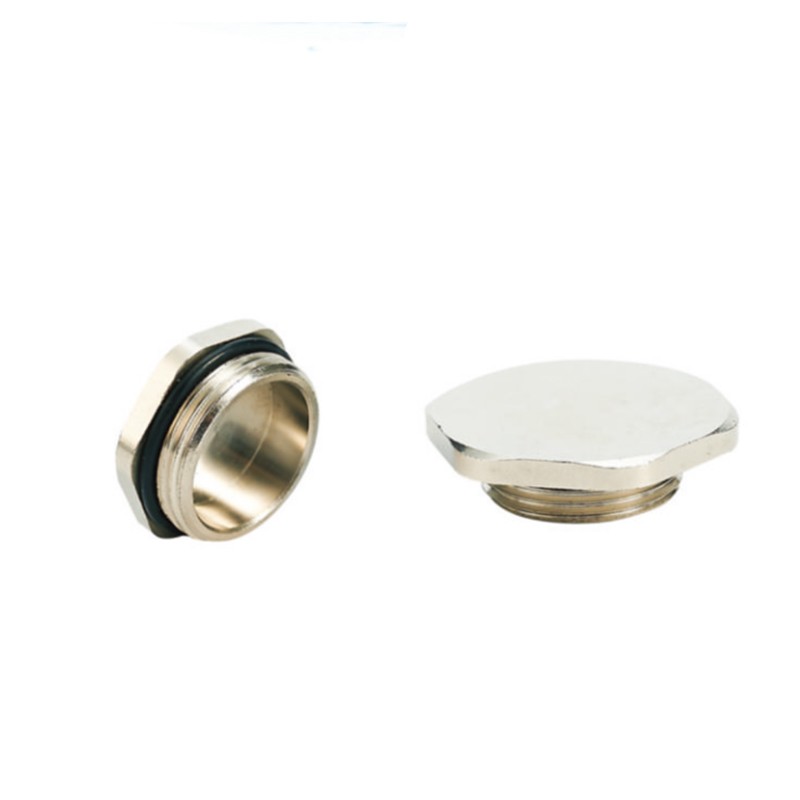 Brass Screw Plug