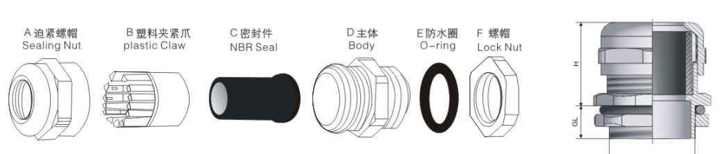 Longer Thread Brass Cable Gland-Metric Thread