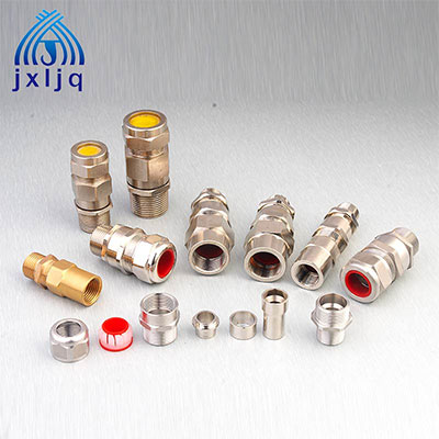 CW Cable Gland Supplier_Single Sealed EX Cable Wiring 