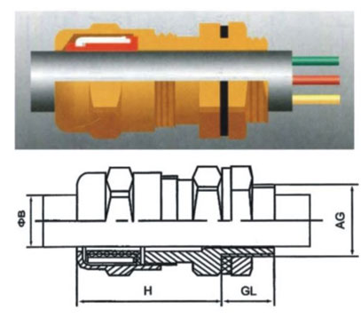 Ex Standard Cable Gland Supplier_Explosion-Proof Cable Gland drawing