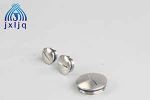 Introduction to stainless steel nuts