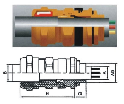 Double Sealed Cable Gland manufacturer_Cable Gland drawing